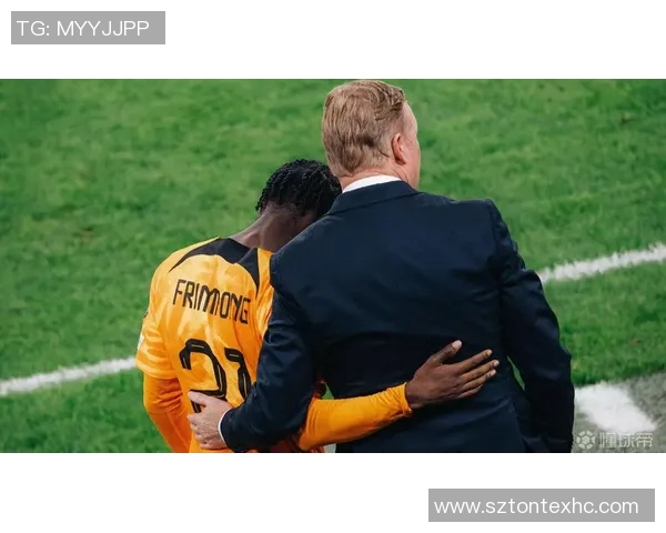 11月17日荷兰对阵法国的比赛预测与分析全面解读 11月17日荷兰对阵法国的比赛预测与分析全面解读