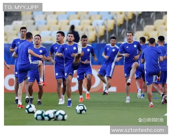 2010年世界杯巴拉圭对阵日本的精彩比分与赛况回顾